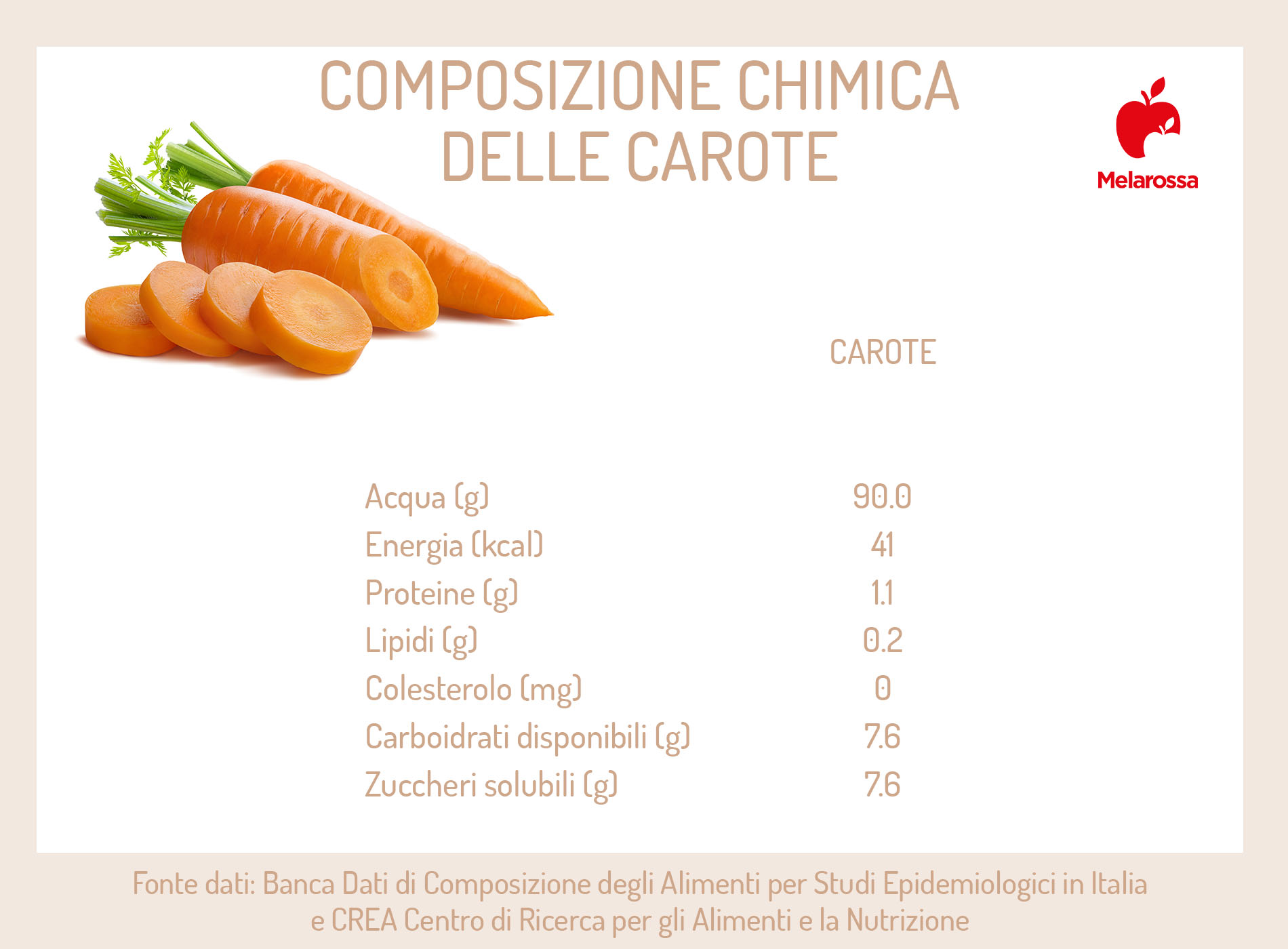 carote: composizione chimica e calorie 