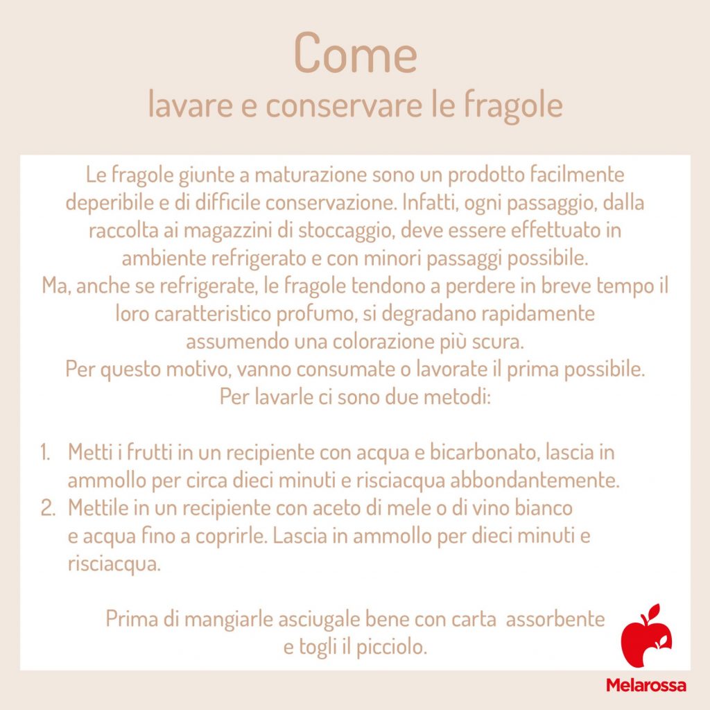 come lavare e conservare le fragole 