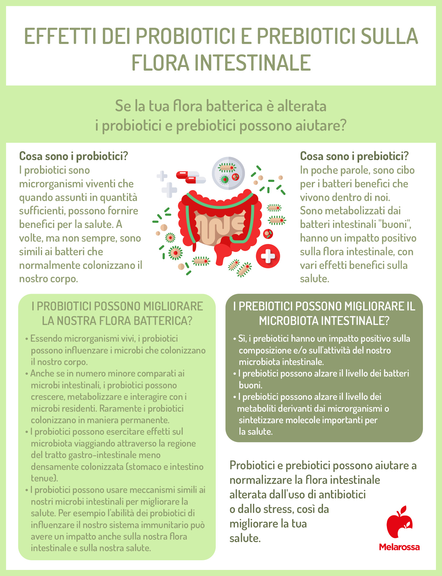 Probiotici: a cosa servono, proprietà e i migliori integratori