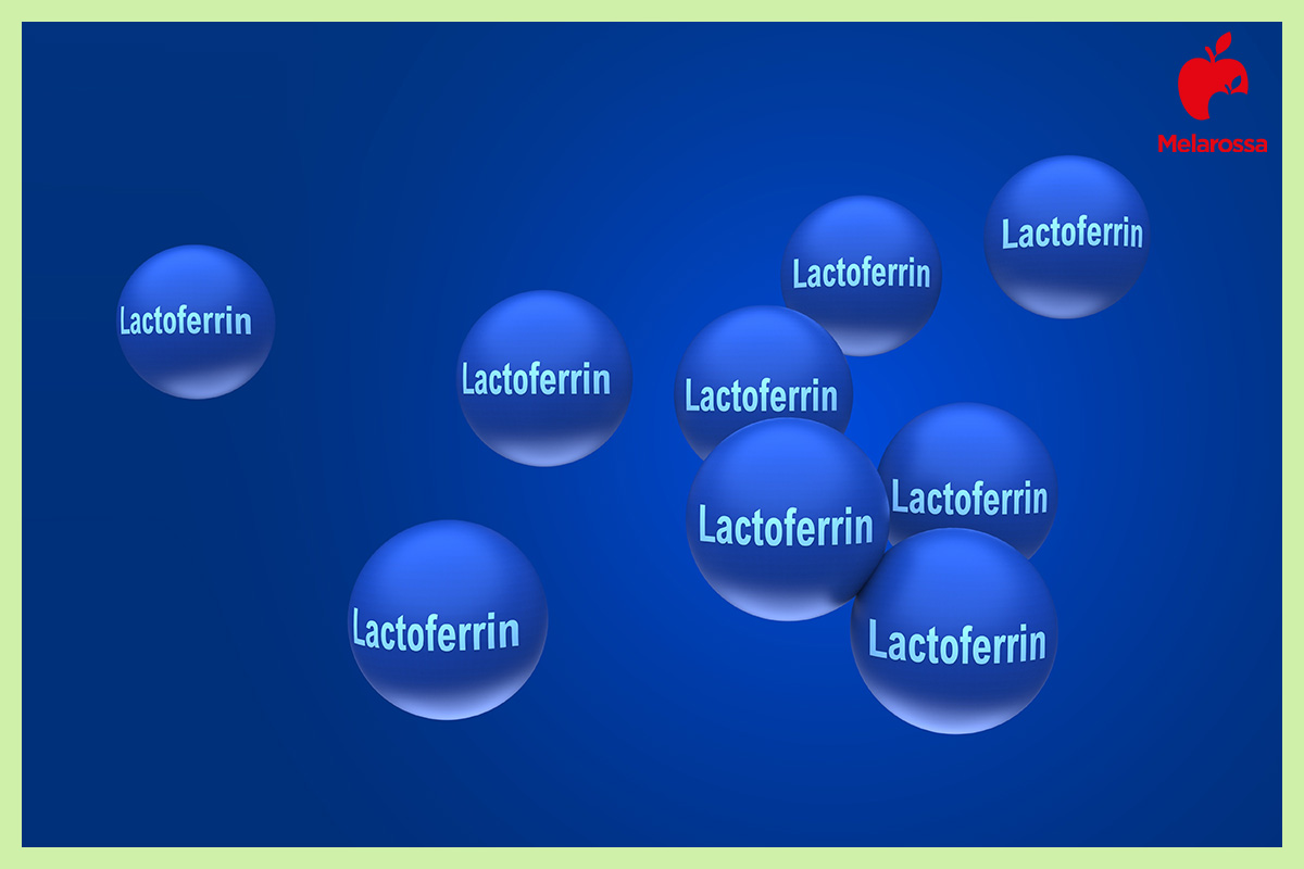 lattoferrina: che cos'è