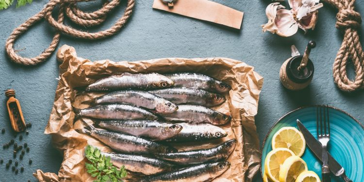 sardine: cosa sono, valori nutrizionali, proprietà, benefici, le migliori ricette