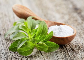 Un ciuffo di foglie di stevia con un cucchiaio in legno colmo di polvere di stevia