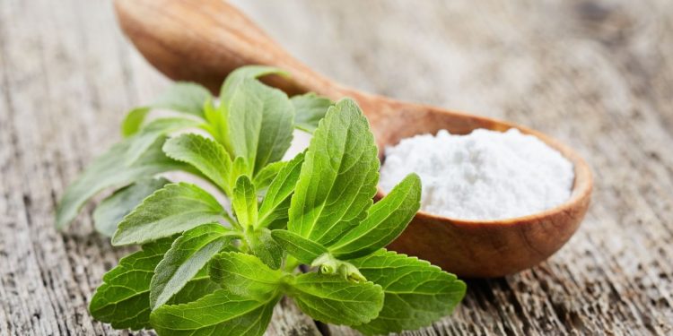 Un ciuffo di foglie di stevia con un cucchiaio in legno colmo di polvere di stevia
