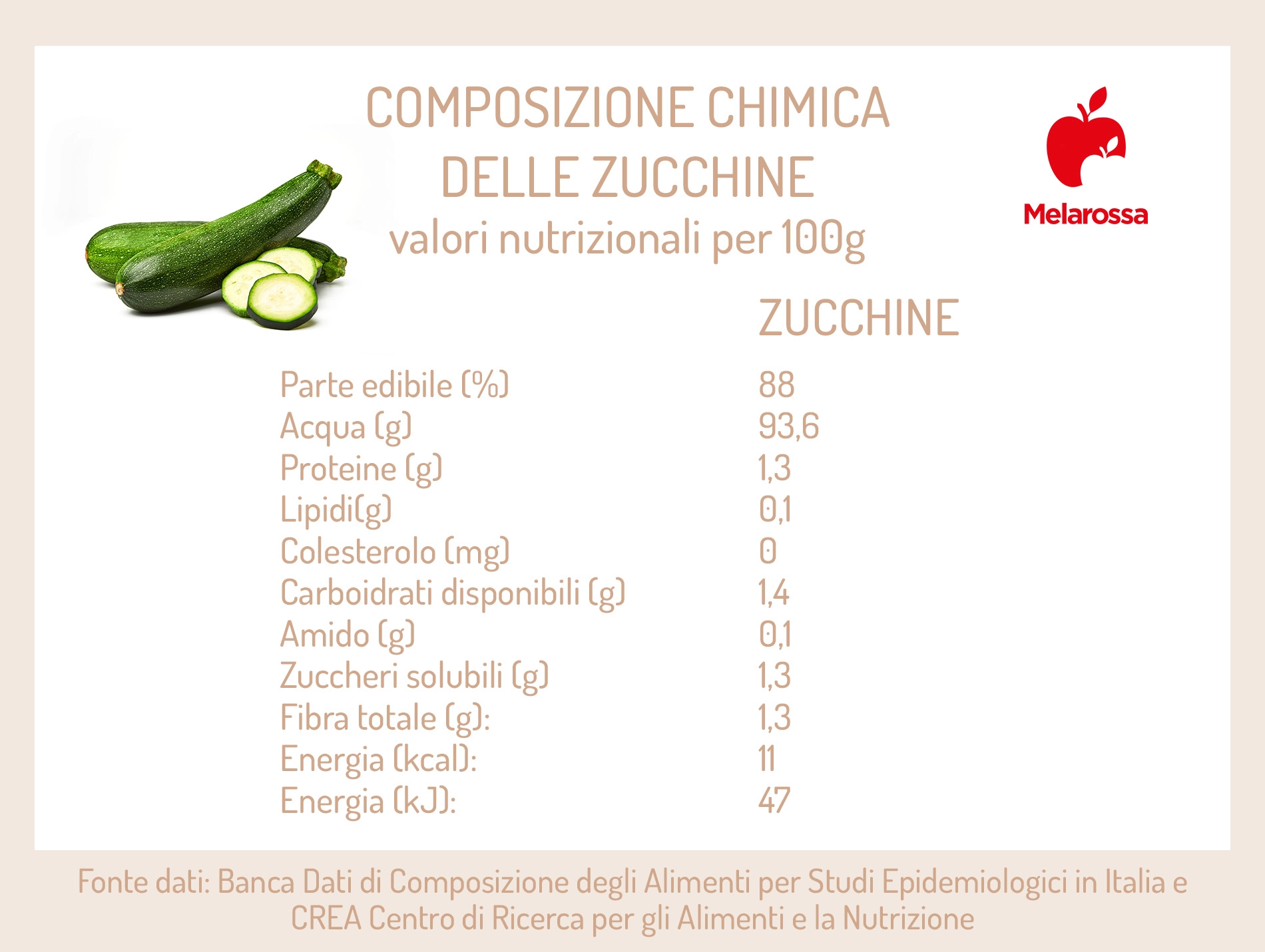 zucchine: composizione