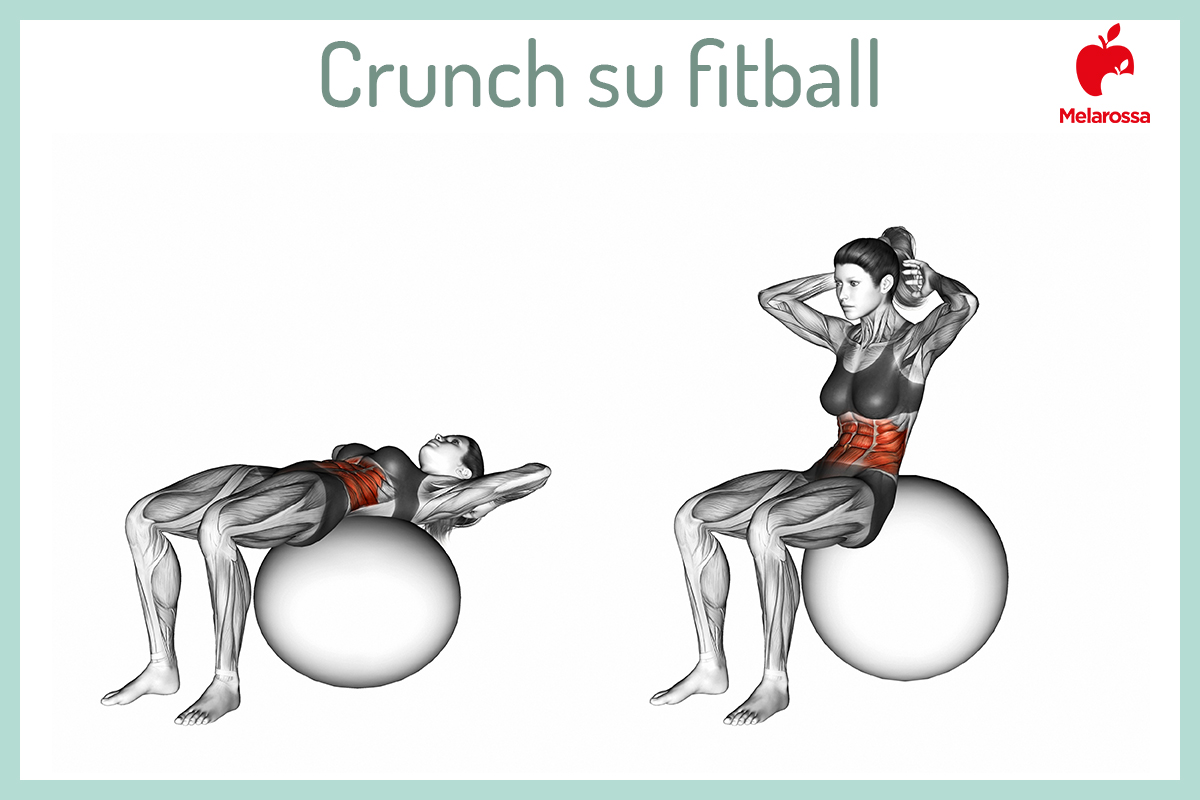 anatomia addome: crunch fitball