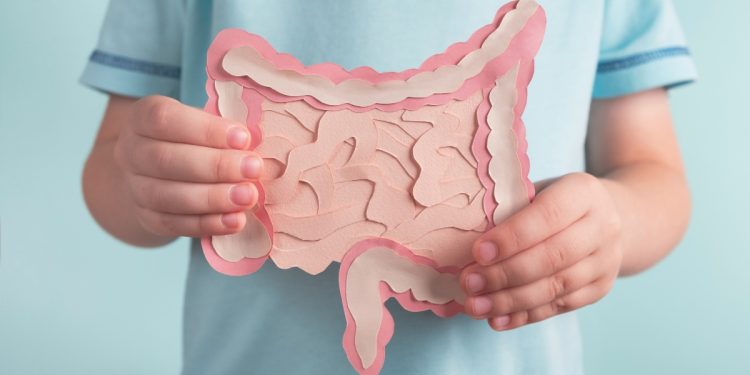 dieta diverticoli: che cos'è, perché farla, cosa mangiare, esempio di menù