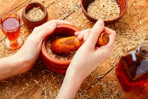 Eleuterococco: il ginseng siberiano tra  proprietà, benefici, a cosa serve e controindicazioni