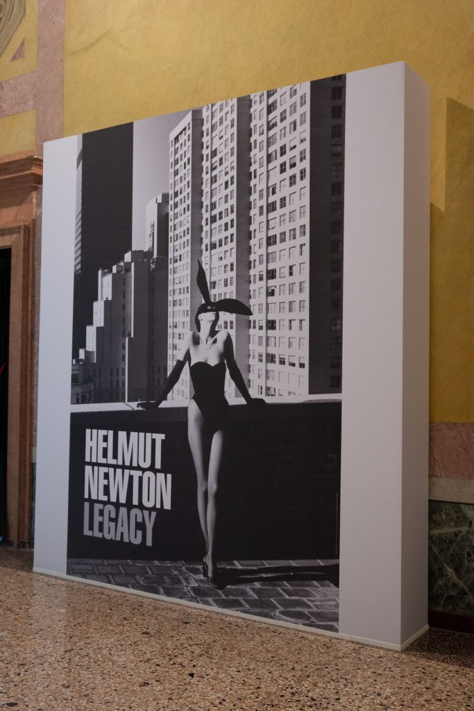 N la mostra di Newton