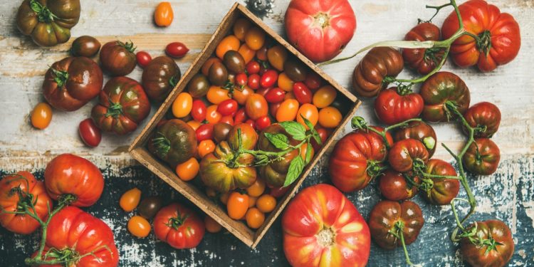 i pomodori fanno ingrassare? Scopri le calorie