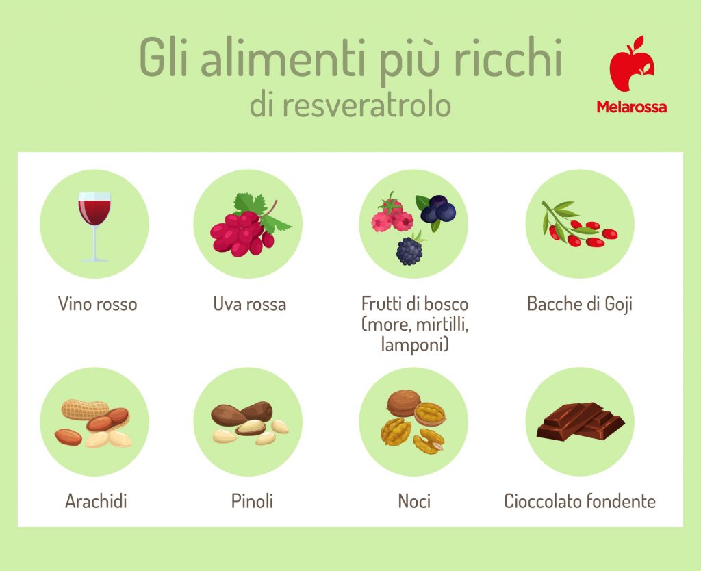 Resveratrolo: benefici reali, limiti e cosa dice la scienza 1 grafica illustrata con i cibi più ricchi di resveratrolo com vino rosso e arachidi