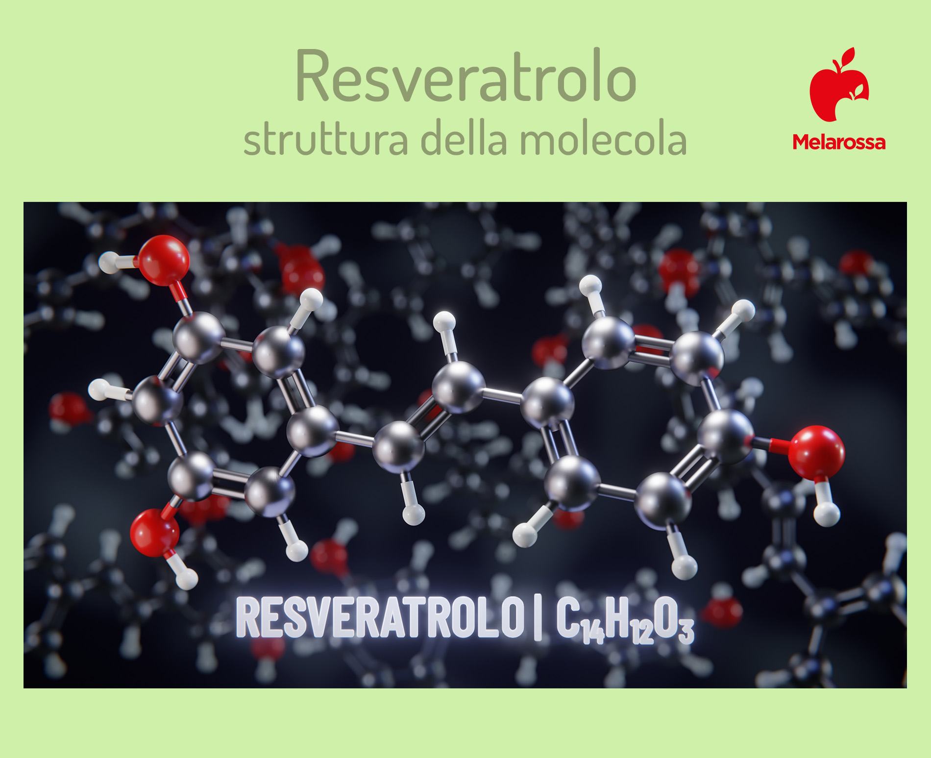 resveratrol: che cos'è?