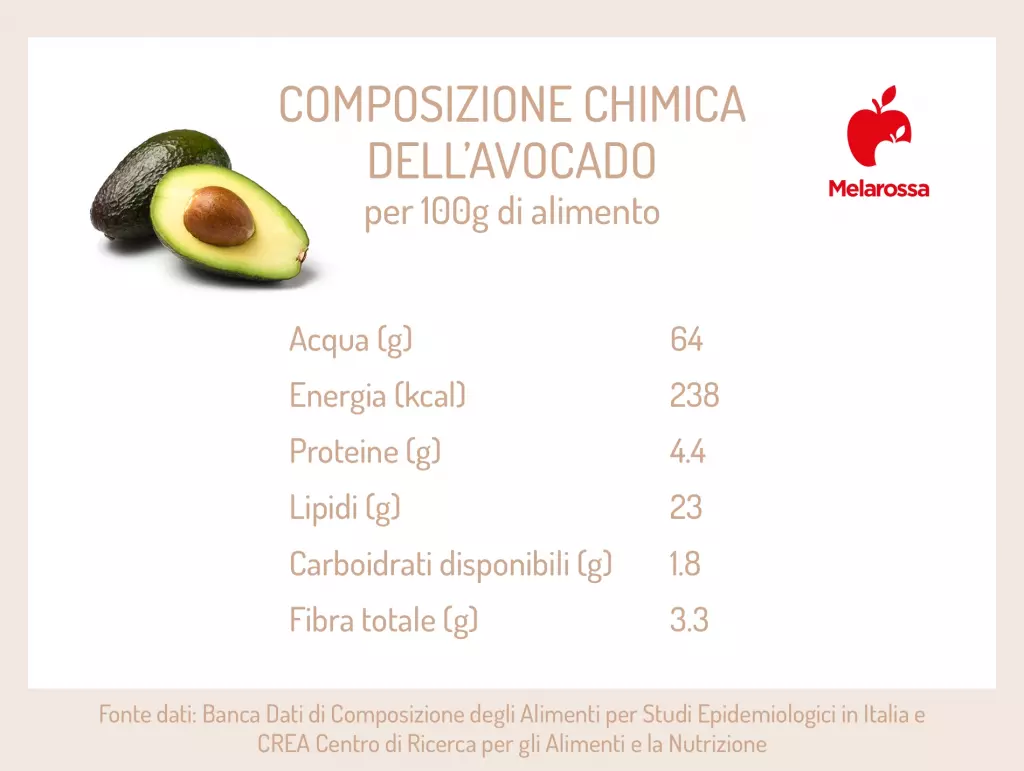 grafica sui valori nutrizionali dell'avocado
