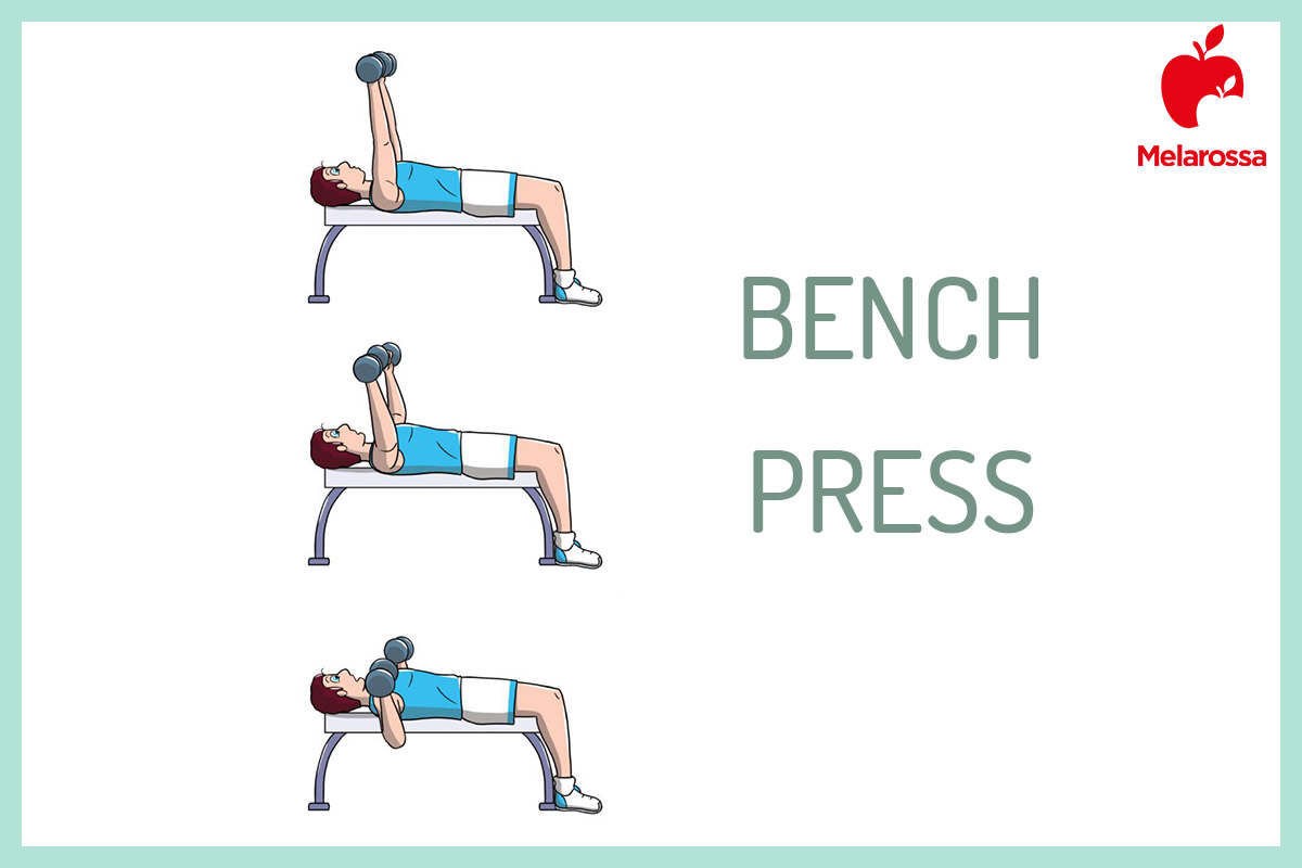 powerlifting: bench press