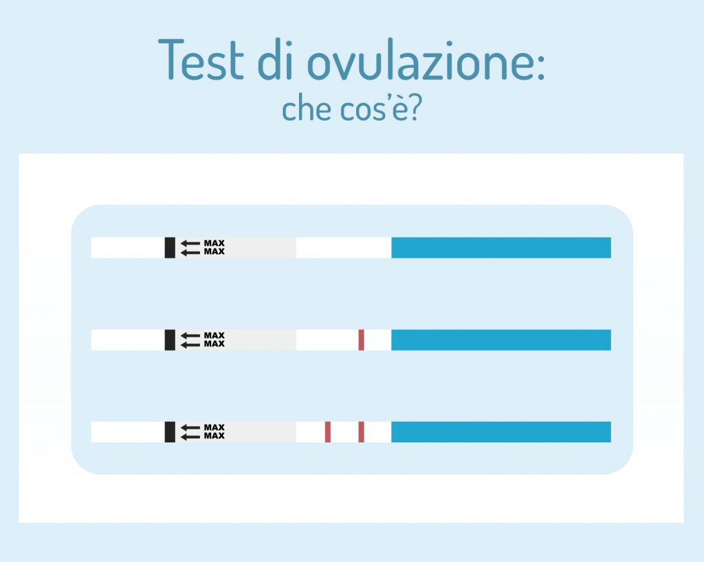 Test di ovulazione: che cos'è, come si usa e quando farlo