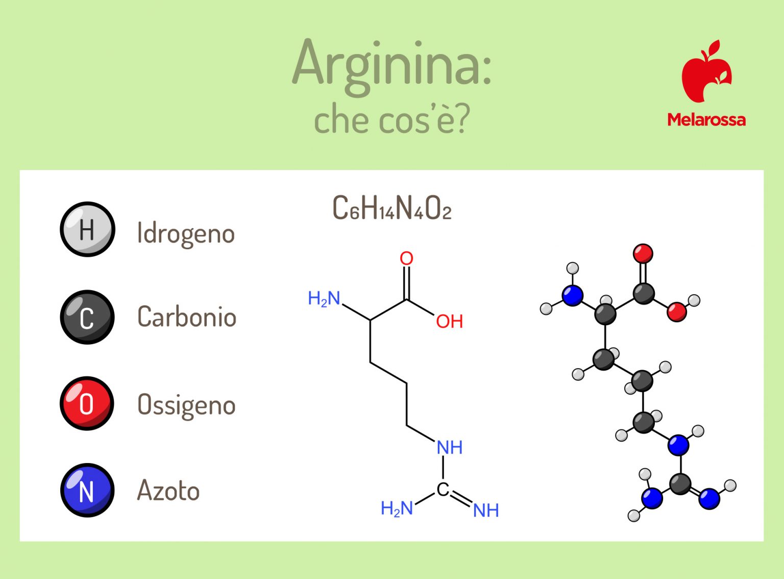 Arginina cos'è, proprietà e benefici, alimenti