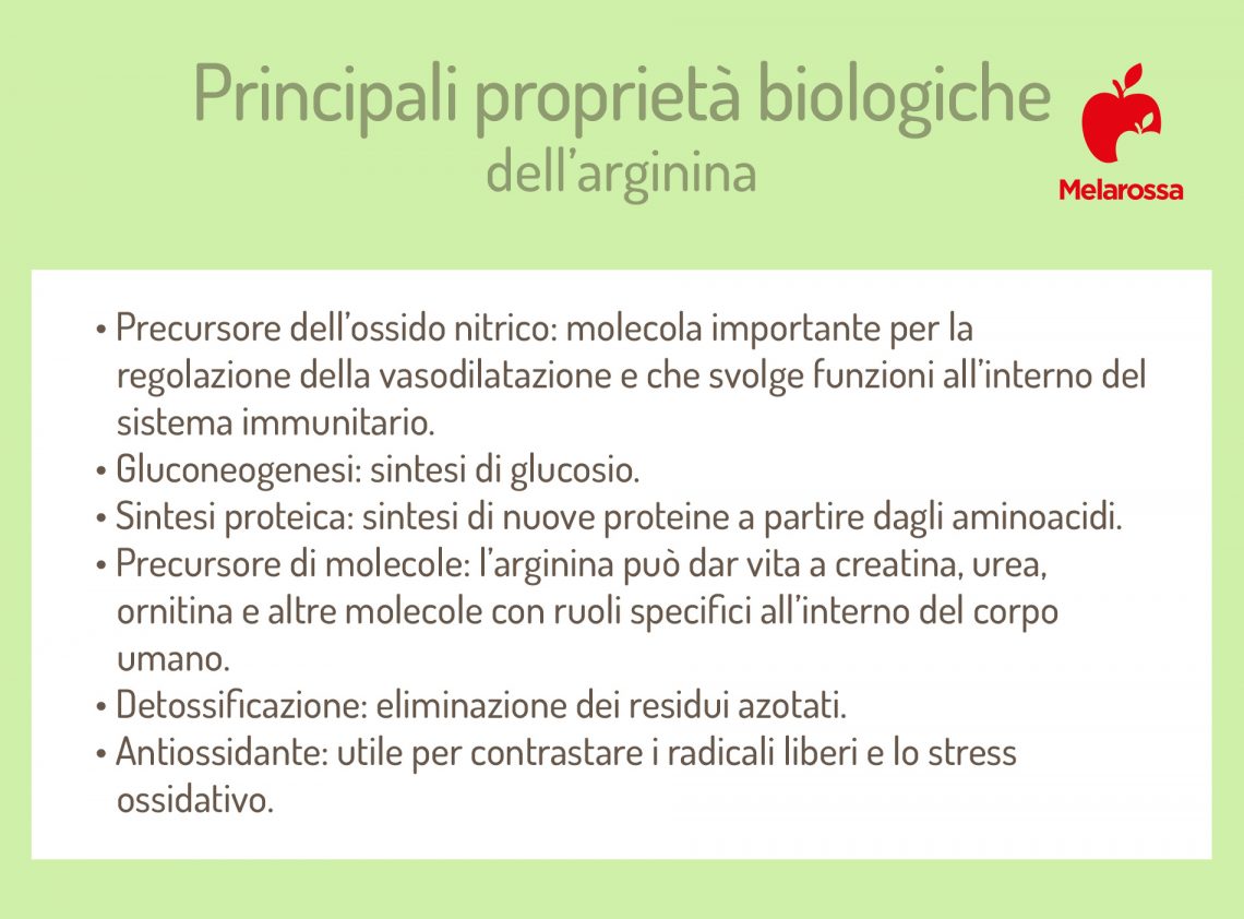 Arginina cos'è, proprietà e benefici, alimenti ricchi