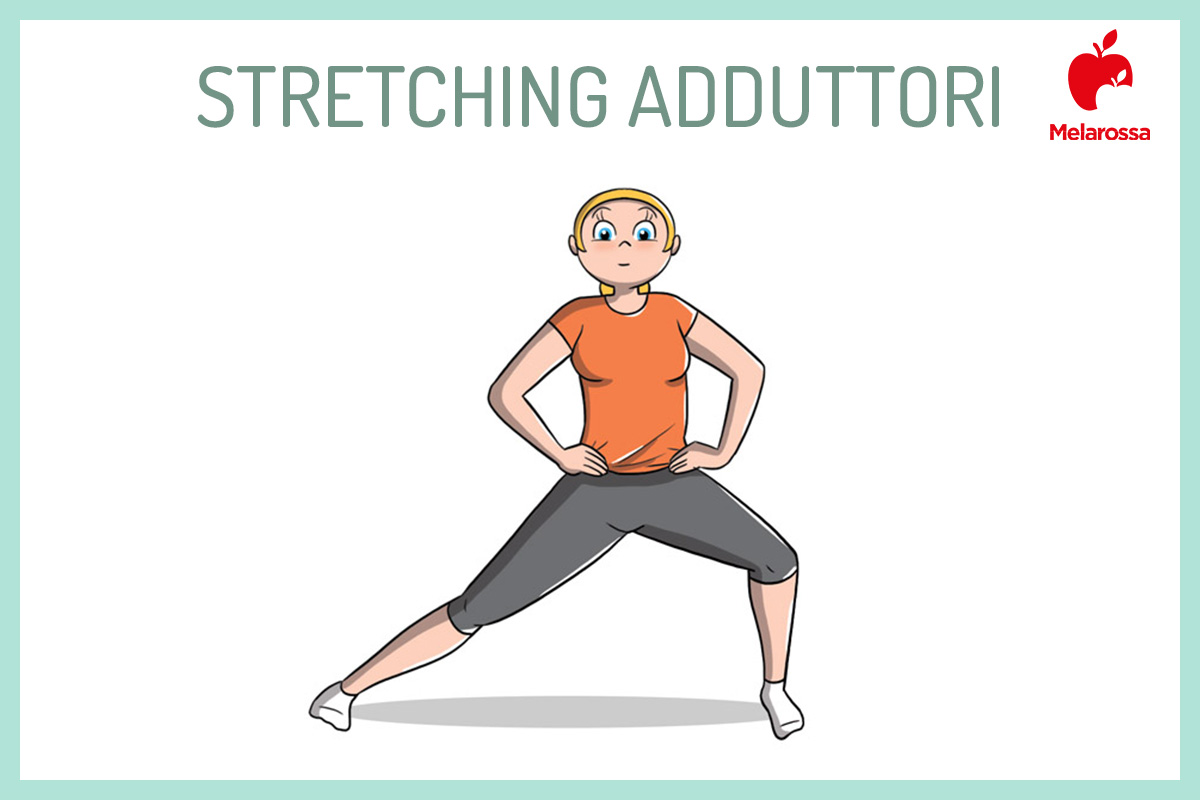 esercizi di stretching per adduttori 