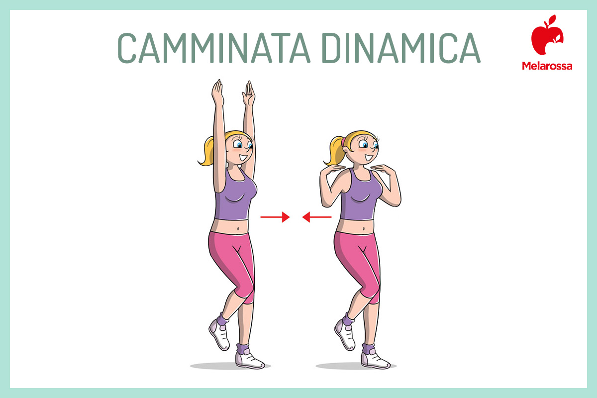 stretching dinamico 