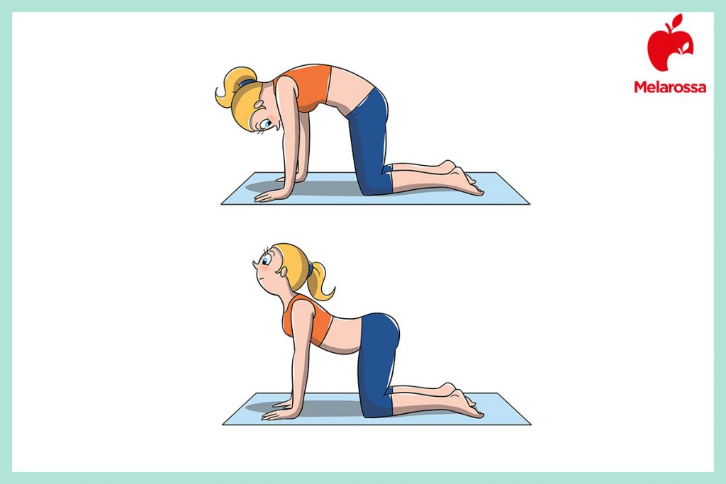 Massaggiatore Per Schiena Sexypow – Stretch A Ponte Per Colonna E Sciatica Con 3 Livelli