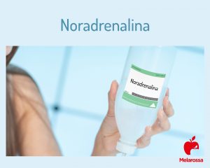 Noradrenalina: che cos’è, a cosa serve, effetti sul metabolismo