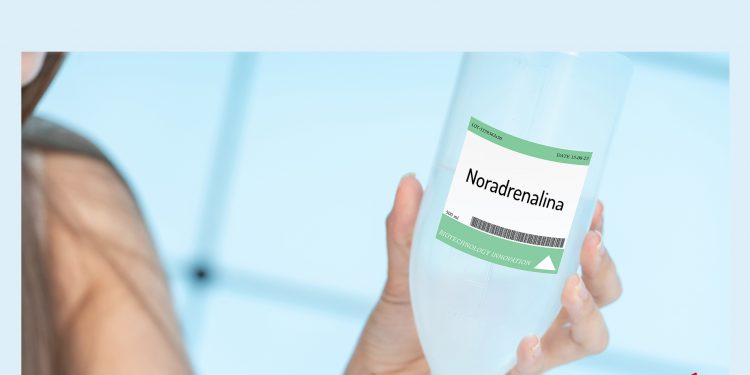 Noradrenalina: che cos'è, a cosa serve, effetti sul metabolismo