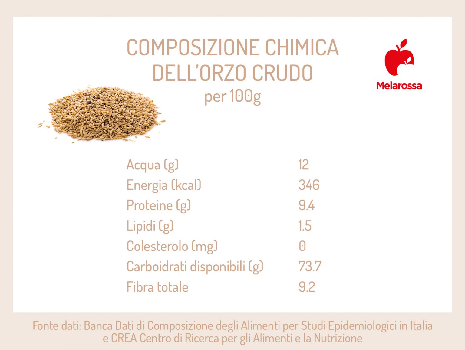 Orzo proprietà, calorie, benefici e come cucinarlo Melarossa