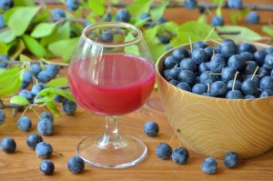 Prugnolo: che cos’è, proprietà e benefici, usi e ricette per fare il succo e il liquore