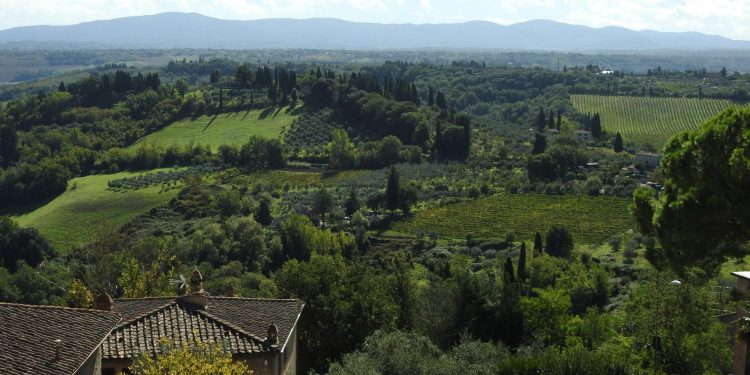 San Gimignano vista dalla torre Campitelli