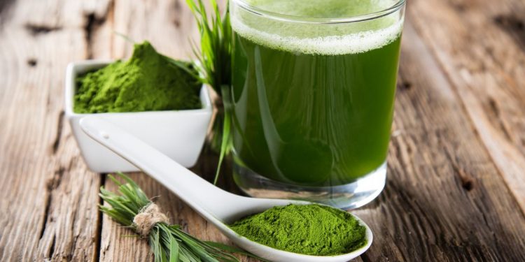 spirulina: fa dimagrire? su un tavolo un bicchiere con spirulina diluita e un cucchiaio bianco con della polvere di spirulina