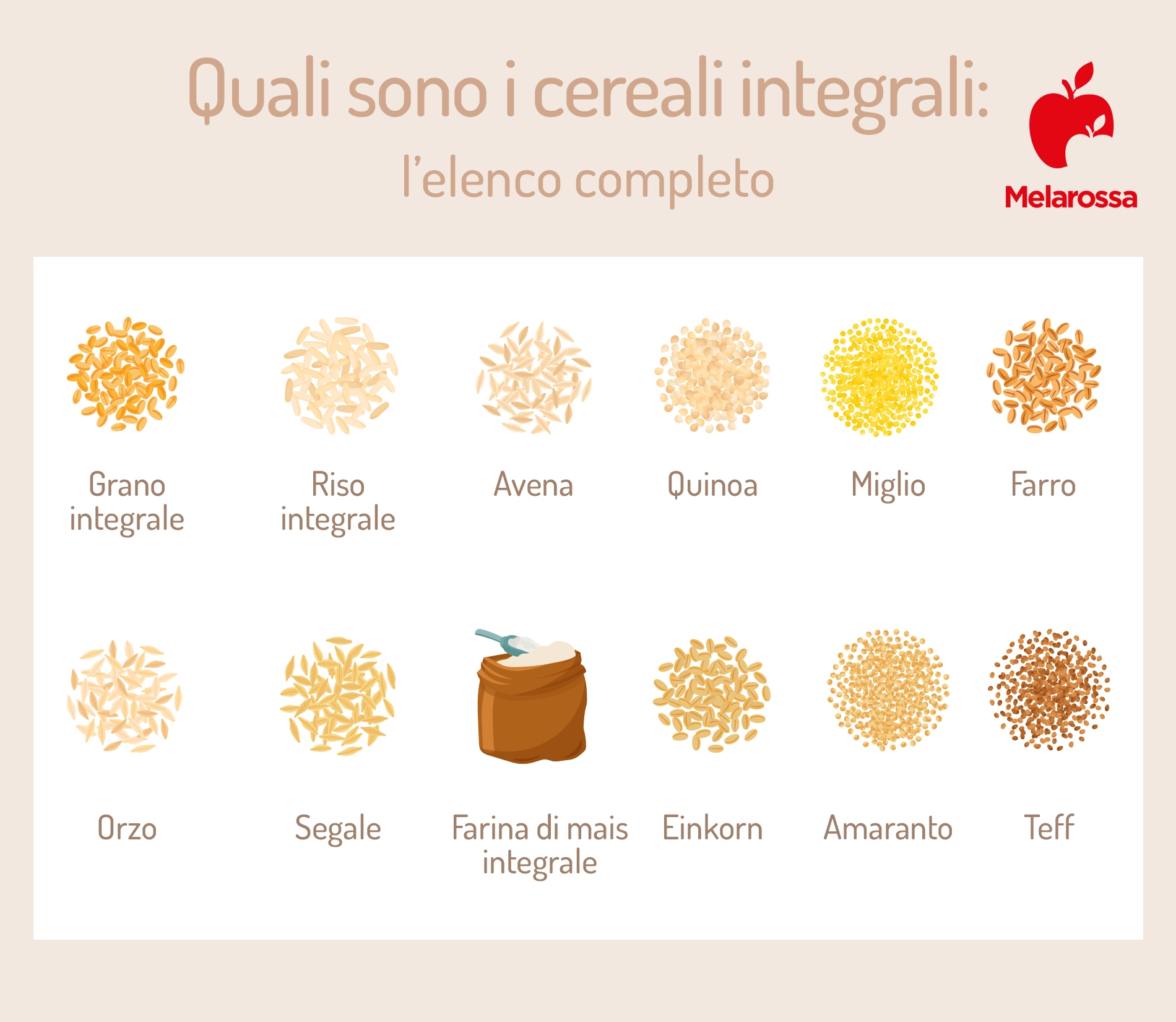 Cereali integrali: quali sono, proprietà e benefici - Melarossa