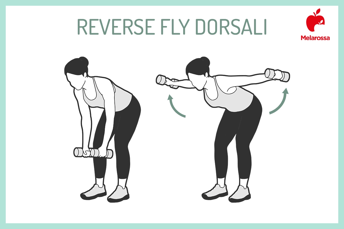 I migliori esercizi per i dorsali: reverse fly 