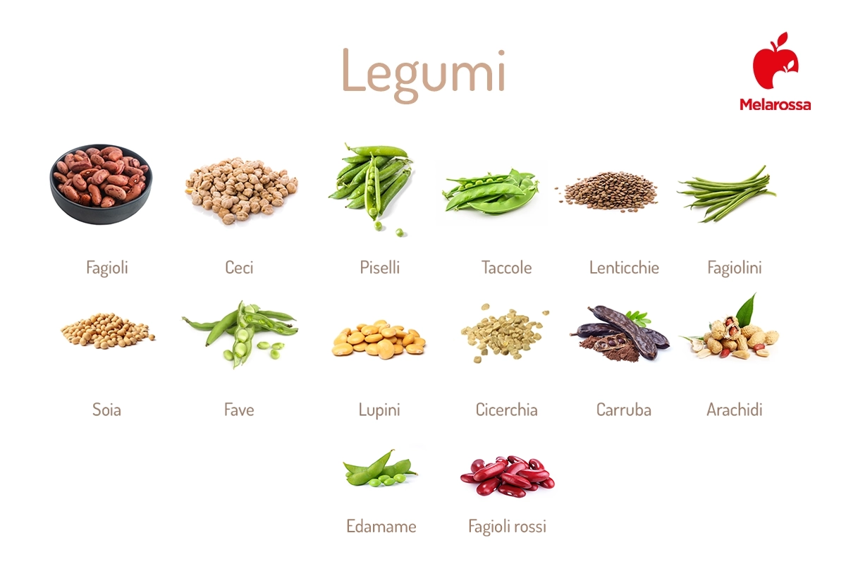 Legumi: quali sono, proprietà ed elenco completo