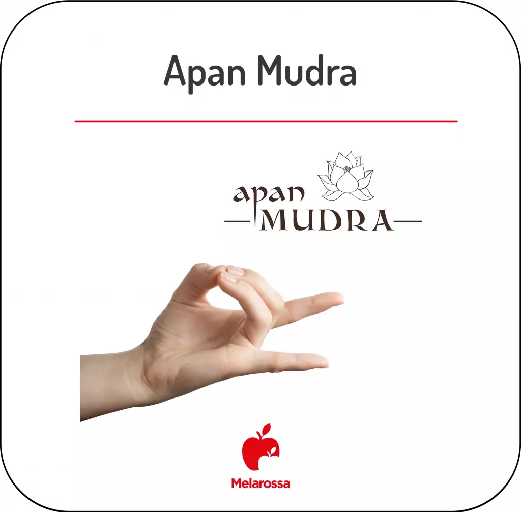 infografica della posizione dell'apan mudra 