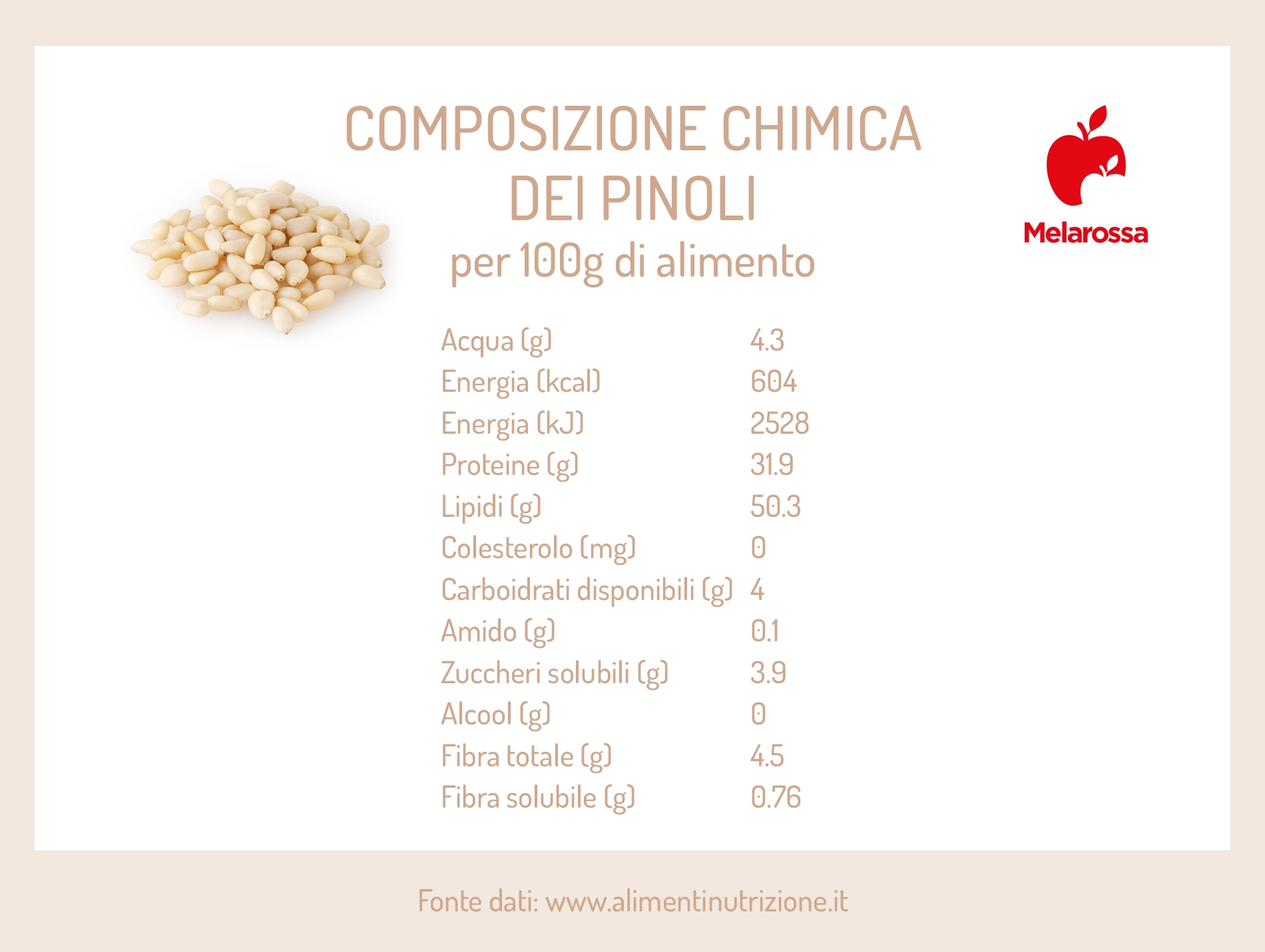 Pinoli: cosa sono, proprietà, valori nutrizionali, benefici e usi in cucina 2 pinoli composizione chimica e calorie