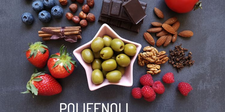su sfondo grigio scuro una collezione di alimenti ricchi di polifenoli: mirtilli, cioccolato, pomodori, fragole, olive verdi, mandorle, noci e lamponi