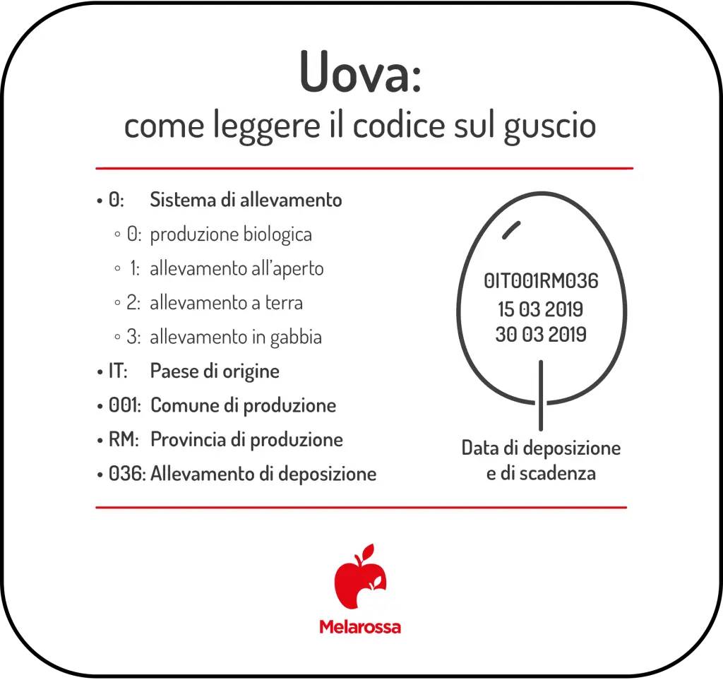 Uova: proprietà, calorie e valori nutrizionali, benefici e quante mangiarne 2 grafica per spiegare come leggere l'etichetta dell'uovo con tutti codici sul guscio con sistema di allevamento, paese d'origine, provincia e data di scadenza