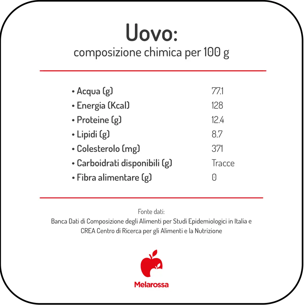 Uova: proprietà, calorie e valori nutrizionali, benefici e quante mangiarne 1 uovo composizione chimica copia