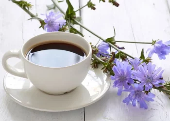 caffè di cicoria: cos'è e benefici