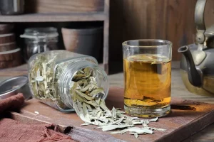 Senna (pianta): proprietà, benefici e usi del lasstivo naturale