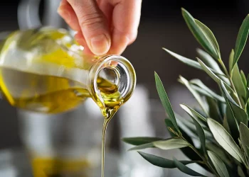 progetto EcceBio per valorizzare l'olio d'oliva biologico