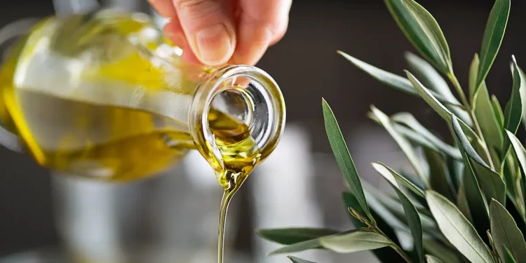 progetto EcceBio per valorizzare l'olio d'oliva biologico