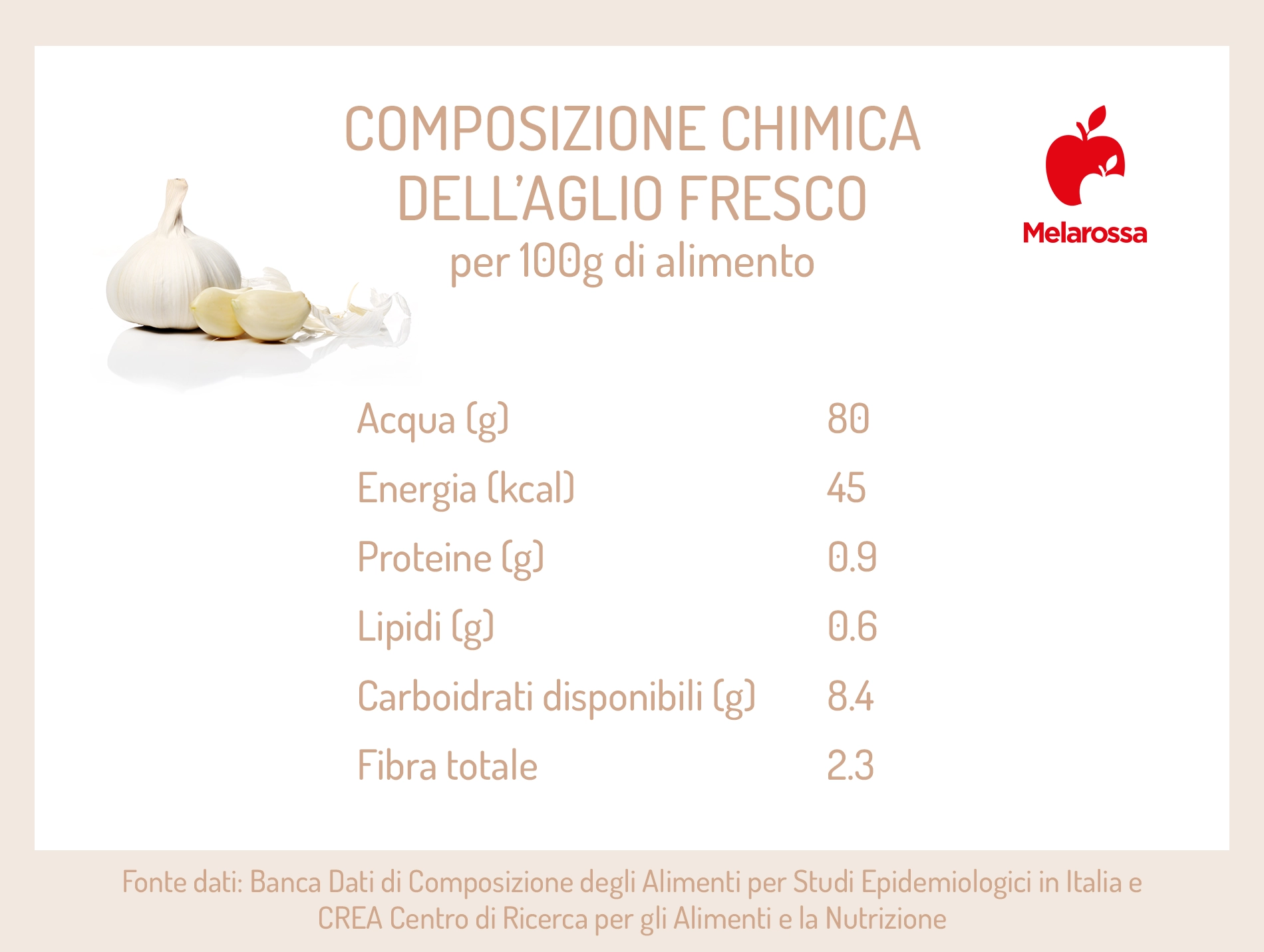 proprietà e valori nutrizionali dell'aglio fresco