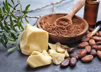 burro di cacao: proprietà e benefici, usi alimentari e cosmetici
