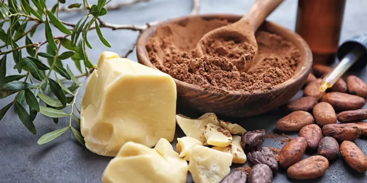 burro di cacao: proprietà e benefici, usi alimentari e cosmetici