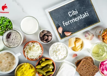 tante ciotole piene di vari cibi fermentati e un cartello "cibi fermentati"