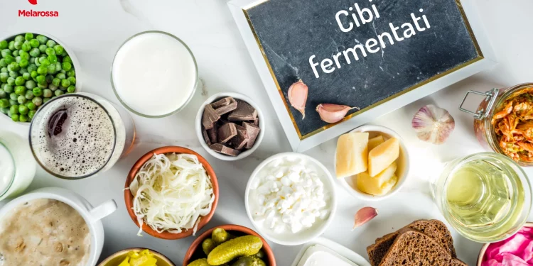 tante ciotole piene di vari cibi fermentati e un cartello "cibi fermentati"