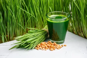 Erba di grano: che cos’è a cosa serve, usi, benefici e proprietà