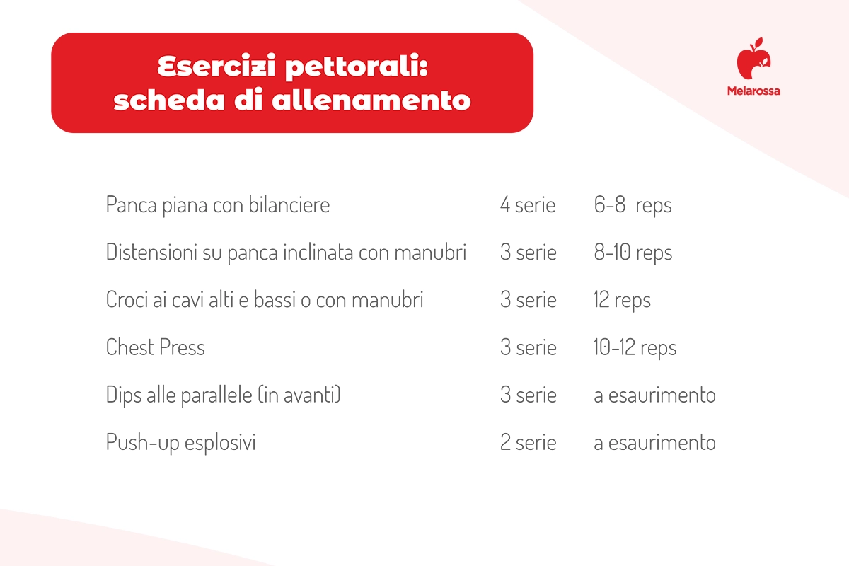 I migliori esercizi pettorali in casa e in palestra per sviluppare il tuo petto 12 grafica che illustra esercizi pettorali da inserire nella propria scheda di allenamento 3 volte alla settimana
