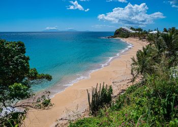una costa caraibica con spiaggia e vegetazione tropicale