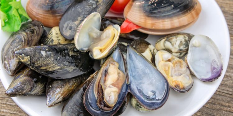 Un piatto colmo di molluschi come cozze, vongole e fasolari